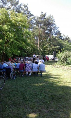 Sommer 20162 (11)